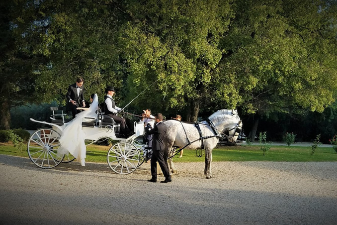 Cosmin Panait, distinguished and celebrated RABC member ties the knot in Provence